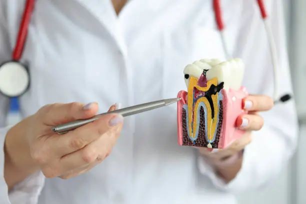 The Silent Culprits: Common Habits That Damage Your Teeth Hemel